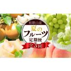 果物の詰合せ 定期便全3回 7月 8月 和歌山の夏のフルーツを…