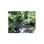 fu.... налог входной билет * пригласительный билет Okayama префектура прекрасный произведение город .. рыбалка body . взрослый 1 название входной билет 1672835