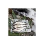 旬の鮮魚等 渓流の女王 アマゴ 冷凍12尾入り