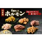 豚肉 ホルモン 豚ホルモン6種セット 合計1 230g
