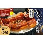 ふるさと納税 うなぎ 北海道 釧路市 ふっくら香ばしい うなぎ蒲焼 200g×5尾セット 北海道釧路の地酒「福司（ふくつかさ）」仕込み 職人 手焼き 真空 冷凍 北…
