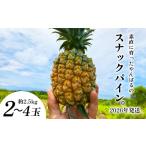 ふるさと納税 果物類 