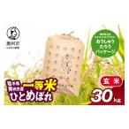 ふるさと納税 米 ひと