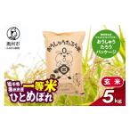 ふるさと納税 米 ひと