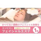 美容 エステ チケット フェイシャル体験 エンビロン