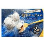 焼菓子 チョコレート キャラメル スイーツ 8種