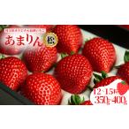 ふるさと納税 いちご 埼玉県 加須市 発送1月〜 先行受付 あまりん（松）12~15粒（350〜400g）苺 いちご イチゴ （松）12〜15粒　350〜400g