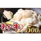 牛肉 ホルモン 定期便6回 あか牛 白 500g