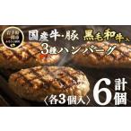ふるさと納税 肉 ハンバーグ 岩手県 一関市  格之進 ハンバーグ 3種 食べ比べ〈120g×各2個 計6個〉　金格 白格 黒格 個包装 お惣菜 おかず お弁当 ハンバーグ…