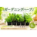 花 苗木 ハーブ 苗 栽培キット 虫除けハーブ