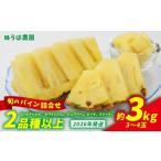 ふるさと納税 果物類 