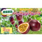果物類 農家直送パッションフルーツ 2kg箱