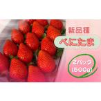 ふるさと納税 いちご 埼玉県 川島町  先行受付 新品種 埼玉オリジナル いちご べにたま 新品種べにたま 2パック（500g）ストロベリーハント