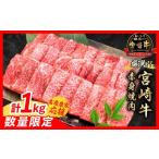 ふるさと納税 牛肉 焼肉・バーベキュー 宮崎県 日南市  8月配送 畜産農家応援 数量限定 厳選 宮崎牛 赤身 焼肉 計1kg 牛肉 国産 焼き肉 BBQ 鉄板焼き バーベキ…
