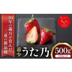 ふるさと納税 いちご 三重県 多気町 三重県オリジナルいちご新品種 希少な「うた乃」500ｇ（250ｇ×2） いちご イチゴ 苺 希少 品種 酸味 少ない 甘さ 強い 三…