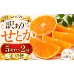 果物類 みかん 2027年 訳あり 優品 野菜ソムリエ石児さんの…