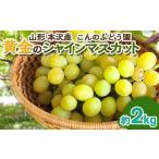 ショッピングふるさと納税 シャインマスカット ふるさと納税 ぶどう マスカット 山形県 山形市 「黄金のシャインマスカット」2kg 山形市 本沢 こんのぶどう園 令和8年産先行予約 FS25-103 くだもの 果物 フ…