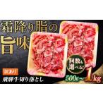 牛肉 カレー シチュー 3回定期便 飛騨牛 切り落とし 250g×2…