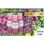 果汁飲料 ぶどう ぶどうジュース 100%