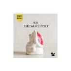 キャラクター 信楽焼 明山 SHIGA LUCKY