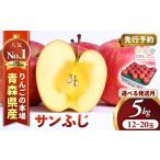 ふるさと納税 りんご 青森県 三戸町  2026年産・先行予約 2026年12月上旬〜12月中旬頃発送予定 りんご サンふじ 約5kg（12〜20玉） 青森県三戸町産 りんご サ…