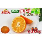 ふるさと納税 みかん・柑橘類 愛媛県 宇和島市 愛媛みかん 訳あり 伊予柑 10kg ワールドファーマーズ わけあり いよかん 愛媛ミカン 愛媛蜜柑 訳アリ 訳あり品…