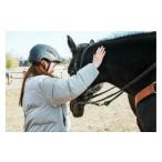 体験チケット 馬とのふれあい 乗馬体験コース 1名