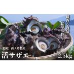 fu.... налог Sazae Shimane запад no остров блок ограничение цена 7~9 месяц рассылка желающий koli... длина свежесть выдающийся остров ... Sazae 2.5kg полный пар комплект -.. аромат . море. ... обеденный стол ....