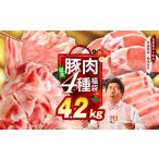 ふるさと納税 豚肉 セット 大阪府 泉佐野市 国産豚肉 4種 福袋 4.2kg 氷温熟成×極味付け 小分け 300gパック ぶたにく 普段使い 野菜炒め 切り落とし まとめ買…