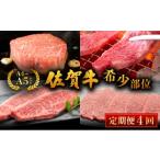 牛肉 ヒレ 佐賀牛 希少部位 定期便 4回 和牛
