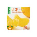ふるさと納税 みかん・柑橘類 愛媛県 愛南町 先行予約 訳あり 甘夏 10kg 7000円 樹齢25年 以上 みかん mikan 蜜柑 わけあり あまなつ 夏みかん グレープフルー…