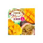 マンゴー 発送月固定定期便 2027年発送