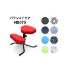 インテリア バランスチェア N5070 椅子