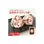 加工品等 梅干 紀州産 カリカリ南高しそ梅 170g×10個