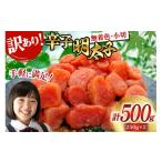 魚貝類 明太子 訳あり 辛子明太子 250g