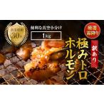 牛肉 ホルモン 訳あり 霜降り 極みトロホルモン 1kg