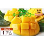 ショッピングふるさと納税 マンゴー ふるさと納税 マンゴー 沖縄県 今帰仁村  訳あり　限定500セット 生産者応援 緑のキーツマンゴー1kg以上（白箱） 2026年8月〜9月頃発送 生産者応援