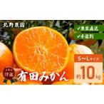 果物類 みかん 完熟 アルギット 10kg