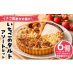 ケーキ カステラ タルト No.1316 いちごのタルトアソートセ…