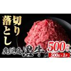 ふるさと納税 牛肉 すき焼き 鹿児島県 肝付町 P01002 鹿児島黒牛 切り落とし (約500g) 鹿児島 国産 九州産 鹿児島県産 黒毛和牛 国産牛 牛肉 切り落し 切落と…