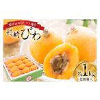 果物類 びわ 長崎 ハウスびわ 1kg