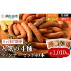 肉 ソーセージ 定期便6ヶ月 ウインナー充実セット