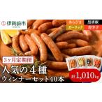 肉 ソーセージ 定期便3ヶ月 ウインナー充実セット