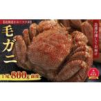 ふるさと納税 カニ 毛ガニ 北海道 旭川市 北海道オホーツク産 毛ガニ 1尾（800g前後）_01190 寄附入金確認後、1週間で発送(1月2日〜1月7日を除く)
