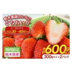 いちご とちあいか 300g以上×2パック