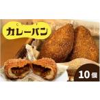 米 パン 総菜パン カレーパン 10個セット