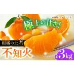 果物類 みかん 不知火 約3kg