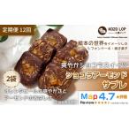 パン 菓子パン 定期便12ヶ月 爽やかショコラスイーツ