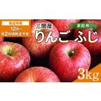 ふるさと納税 りんご 秋田県 湯沢市 三関産 りんご ふじ 家庭用 3kg 秋田県 湯沢市 地場産 果物 フルーツ 林檎 三関果樹研究会 J15102