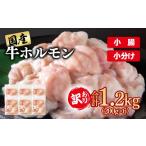 牛肉 ホルモン 訳あり牛ホルモン 小腸 1.2kg